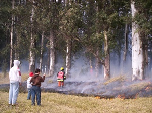 firemen and bush fire